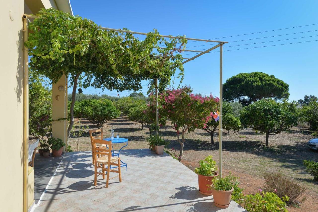 Santa Domenica Summer House Agia Kiriaki  エクステリア 写真