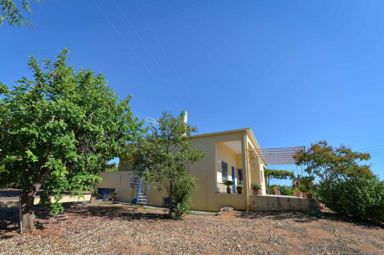 Santa Domenica Summer House Agia Kiriaki  エクステリア 写真