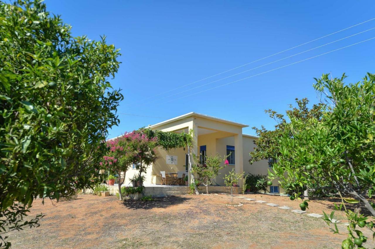 Santa Domenica Summer House Agia Kiriaki  エクステリア 写真